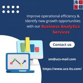 Business Analytics Services