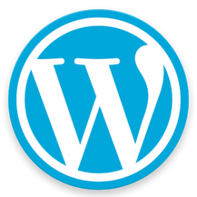 WordPress Training 