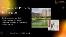 Commercial Property in Gurgaon | 3 Horizons 