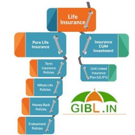 Life Insurance Plans