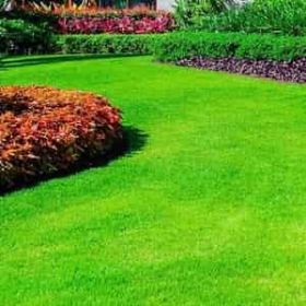  Horticulture Landscaping Services 