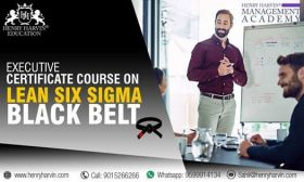 Lean Six Sigma Black Belt Certification