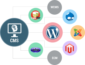 Content Management System