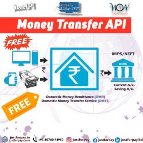 Money Transfer API service Provider in India