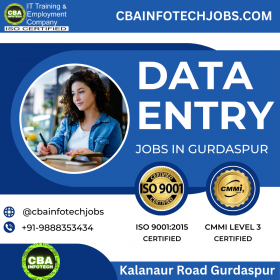 Data Entry jobs In Gurdaspur
