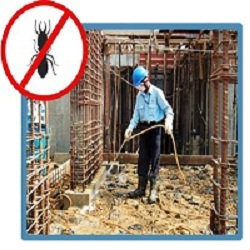 Termite Control