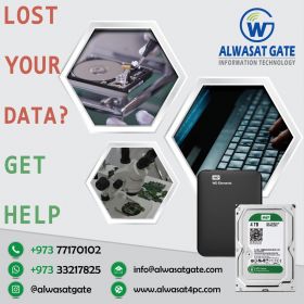professional and cost  data recovery Hex Technolog