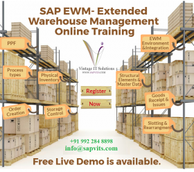 SAP EWM Online Training