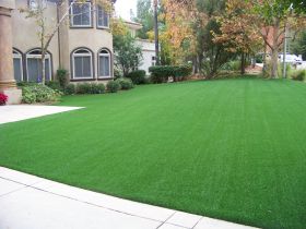 Artificial Lawn