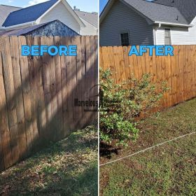 Fence cleaning