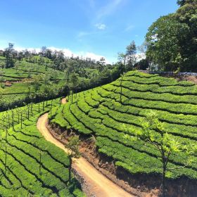 Valparai Travels