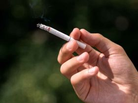 Nicotine Testing 