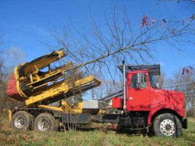 Affordable Tree Planting Services