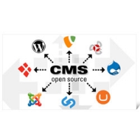 CMS  Website Development