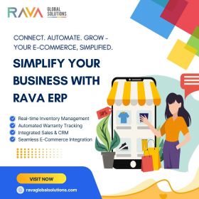 RAVA Global Solutions