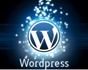 Wodpress Customization services