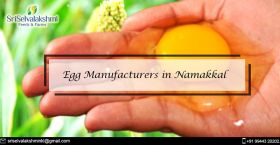 Egg Manufacturers in Namakkal | Namakkal Egg Produ