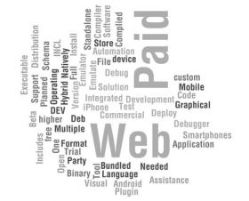 Custom Web Development