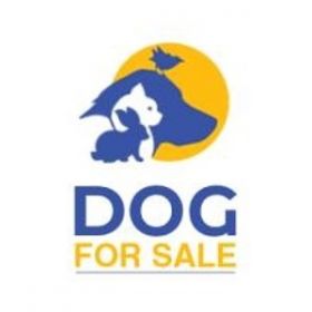 Thedogsale