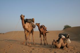 Jaisalmer holiday package