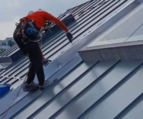 Metal Roofing