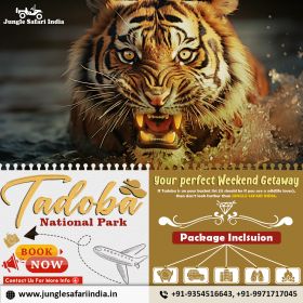 Tadoba Holiday Tour- 2Night / 3Days