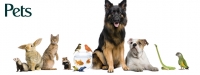 Lallabi Online pet shop india