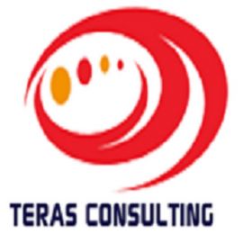 TerasConsulting