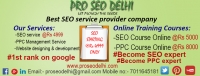 SEO Service Delhi