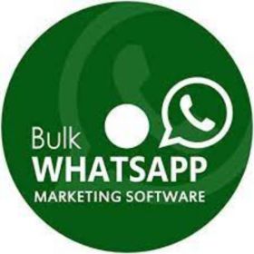 Bulk whatsapp sender