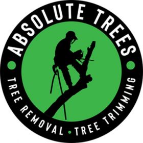 Absolute Trees