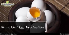 Namakkal Egg Production | Namakkal Egg Suppliers |