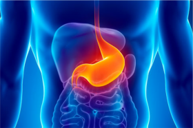 Gastroenterology Services treatments