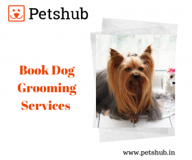 Dog Grooming Services