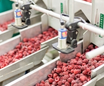 Food Processing machines