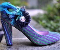 Shoes Accessories