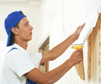 Painting & Painters Service Provider