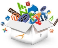 Web & Software Development Services