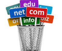 Domain Name Registration and Web Hosting