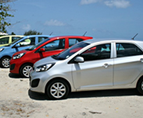 Vehicles Rentals
