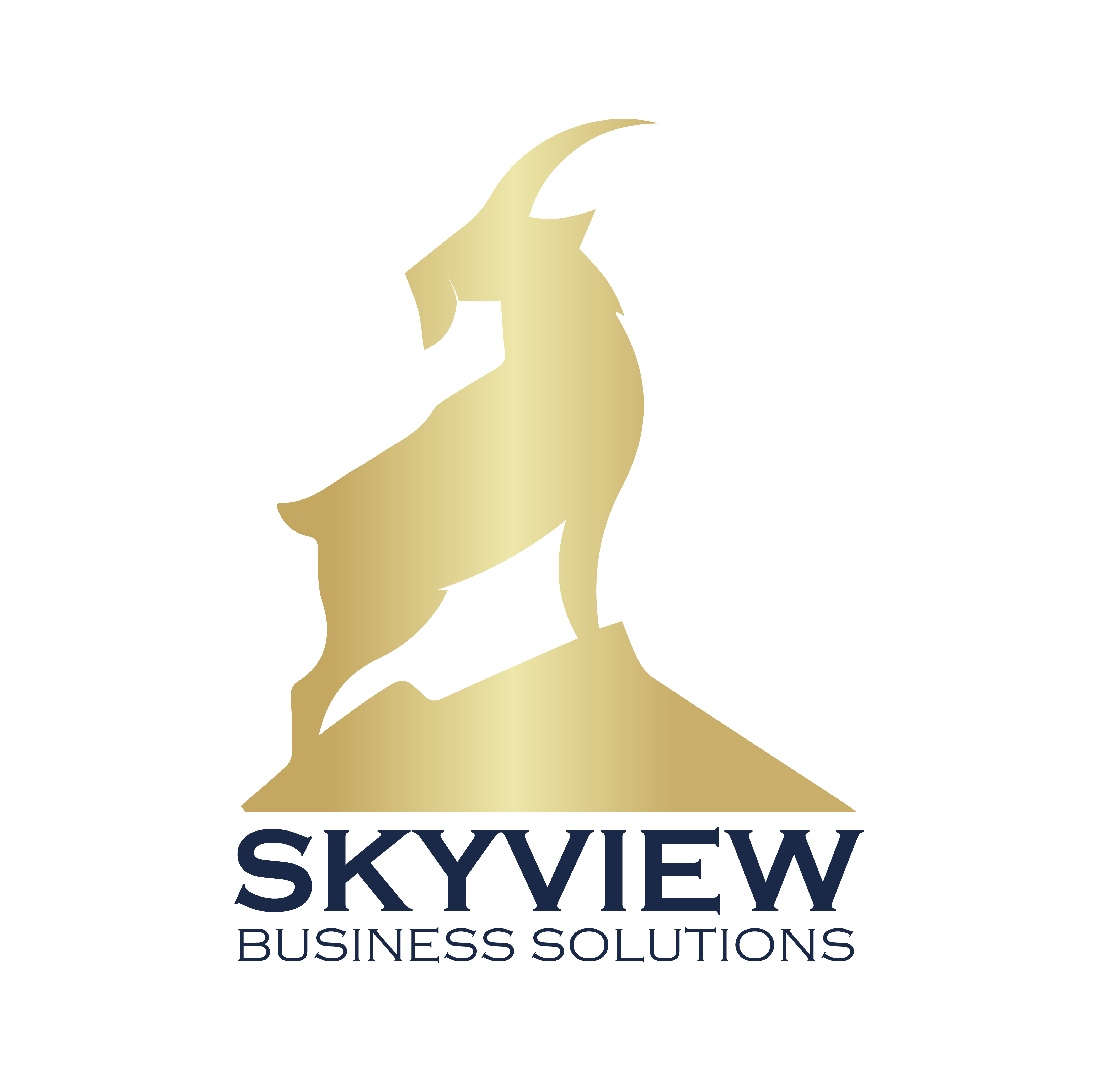 Boost Your Business Growth with Expert Commercial Strategy Services in Indiana
