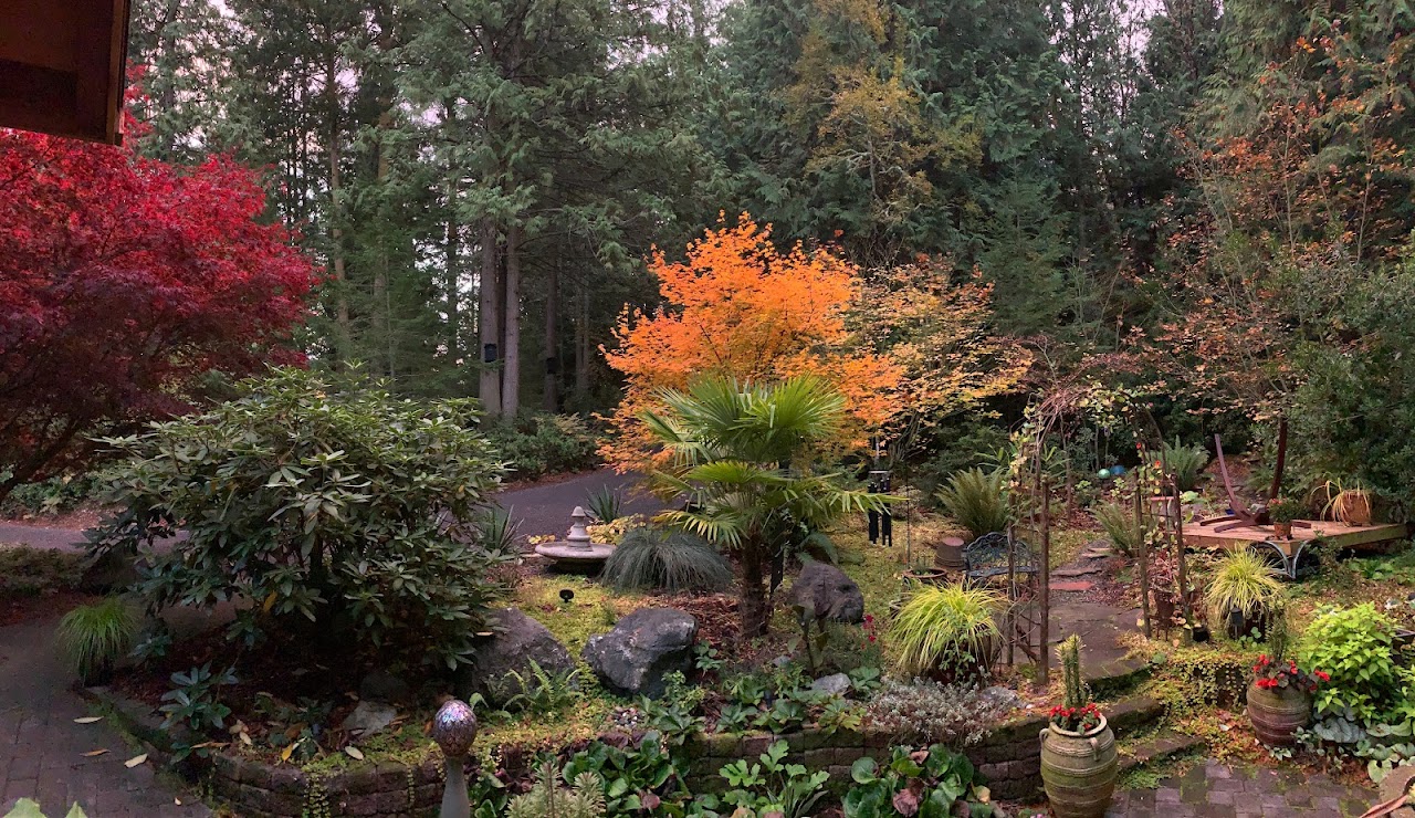 Landscape Design Ideas for Backyard | Omgreenoman