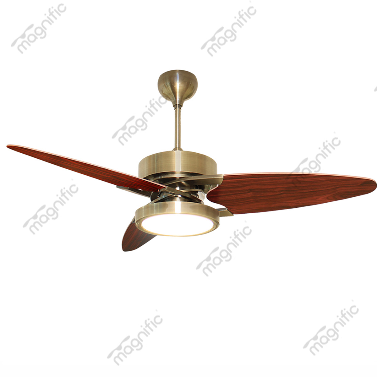 Buy Decorative ceiling fans india | Magniifc home Appliances