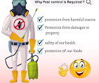 Best Ant Pest Control Services in Kurnool