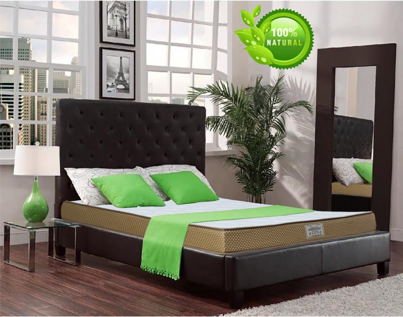 Buy natural latex mattress in Delhi