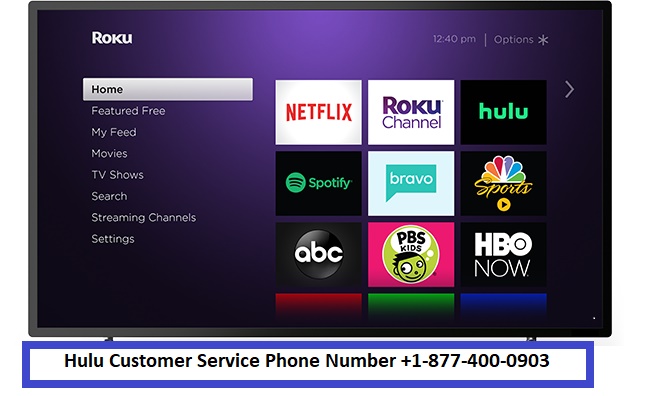 Hulu Customer Service Phone Number +1-877-400-0903 USA/Canada