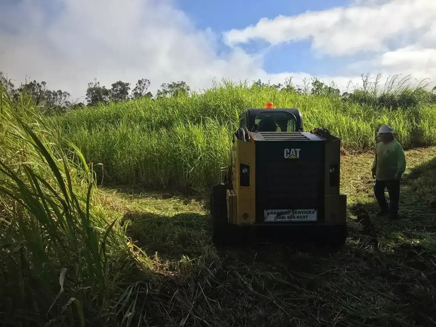 Professional Hawaii Land Clearing Solutions for Any Terrain - Arborist Services
