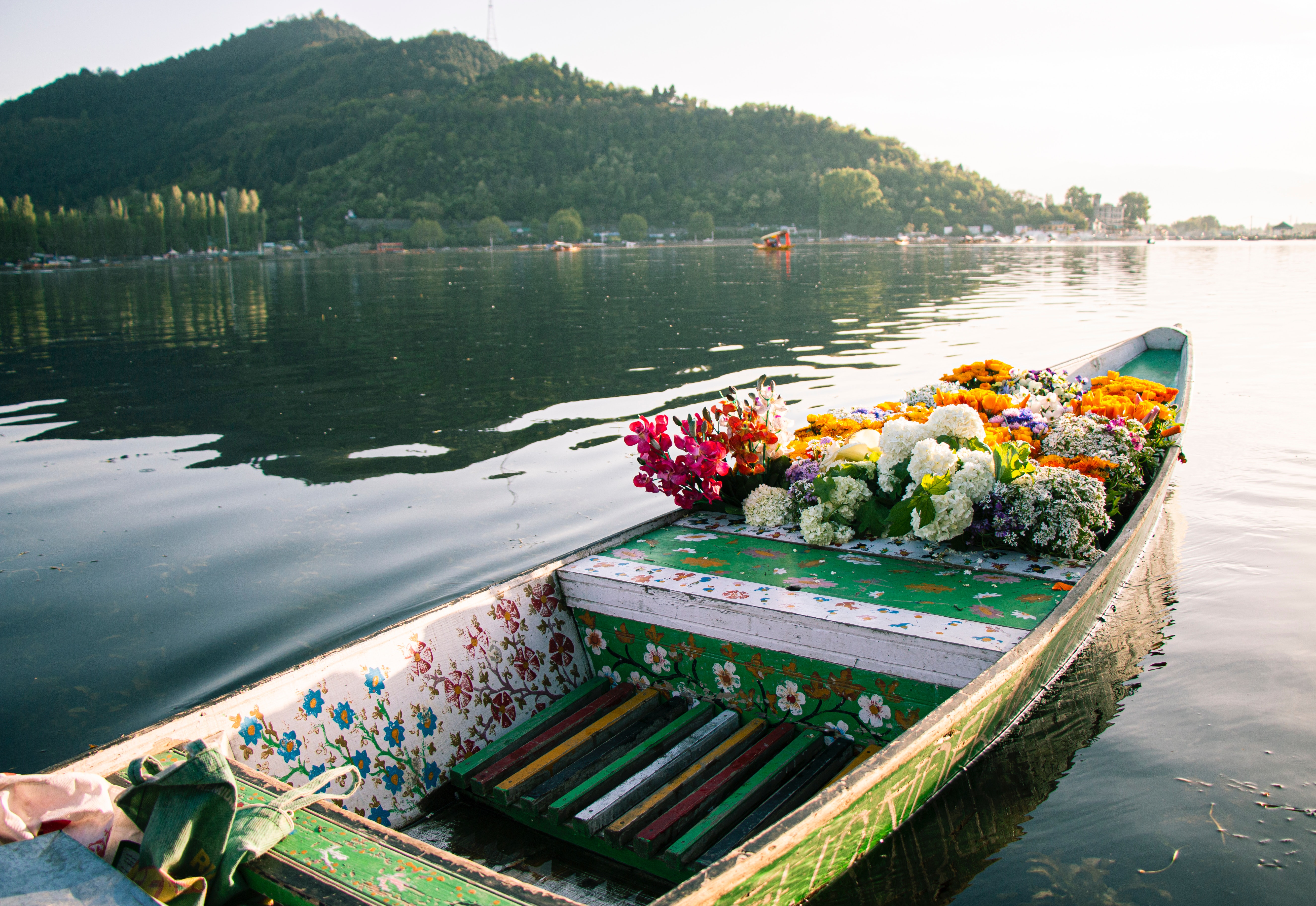 Searching for reasonably priced ways to get to Srinagar?