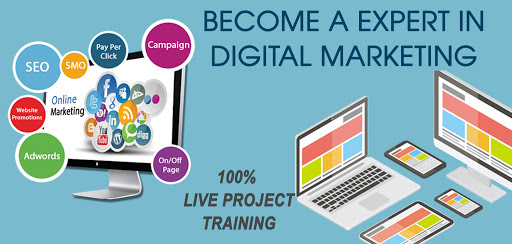 Best Digital Marketing Course in Vadodara | Learn Digital Marketing in Vadodara