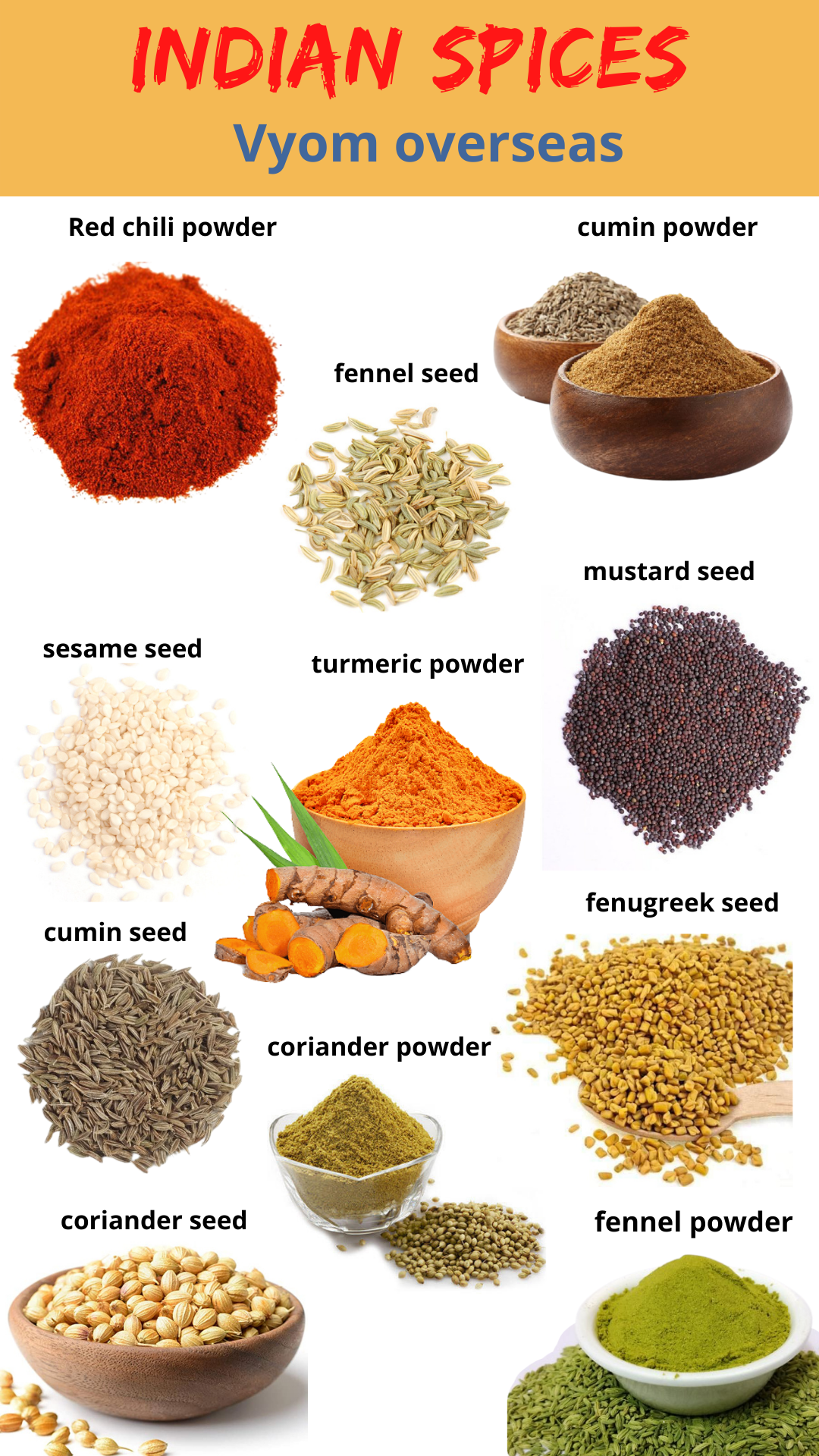 Buy Wholesale Indian spices from Vyom Overseas